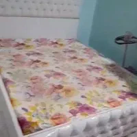 لوازم سالن|آرایشگاه و سالن‌های زیبایی|بندر دیر, |دیوار