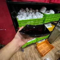 ظروف اجاره ای میز صندلی|خدمات پذیرایی، مراسم|قرچک, مهدیه|دیوار