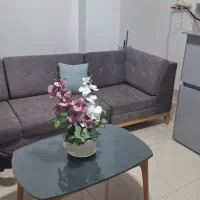مبل نو|مبلمان اداری|میاندوآب, |دیوار
