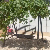 تاب باغی