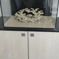 آکواریوم آب شور و لوازم