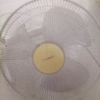 پنگه پایدار سانی