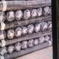 وردست برشکاراقا