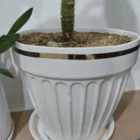 یخچال الکترول استیل|یخچال و فریزر|قروه, |دیوار