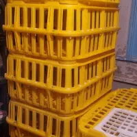 سبد حمل جوجه و ابخوری جوجه