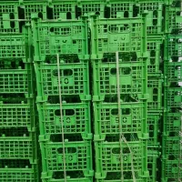 سبد|ظروف نگهدارنده، پلاستیکی، یکبارمصرف|بهار, |دیوار