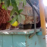 اره جوشکاری بزرک|ماشینآلات صنعتی|ایذه, |دیوار