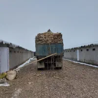 راننده تک یا جفت