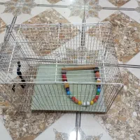 قفس