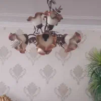 لوستر،درحد