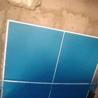 میز پینگ‌پنگ