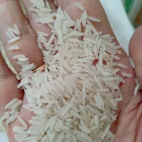 برنج 190|خوردنی و آشامیدنی|نظرآباد, نظرآباد|دیوار