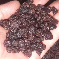 فروش کشمش حلوایی درجه یک شیره دار