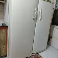 یخچال دوقلو امرسان