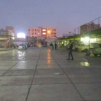 نیروی کارواش