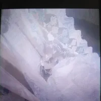 ظرف آشپزخانه