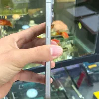 15pro max|موبایل|شیراز, زند|دیوار