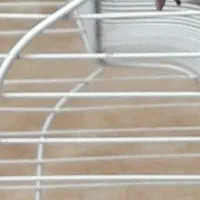 طوطی گرینچیک