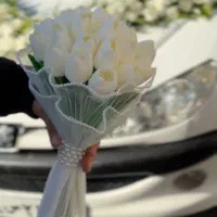 تشریفات عروسی|خدمات پذیرایی، مراسم|سنندج, |دیوار