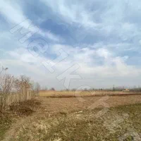 زمین-باغ-فروشی