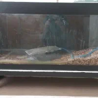اکواریوم ماهی