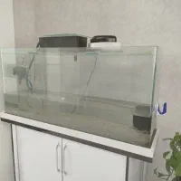 آکواریوم شیشه خم شرکتی