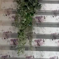 پرده زبرا. 1عدد|پرده، رانر، رومیزی|تهران, نیکنام|دیوار