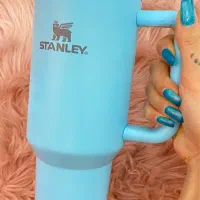 ماگ استنلی اورجینال|کوهنوردی و کمپینگ|تهران, فلسطین (میدان انقلاب)|دیوار