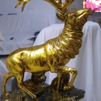 گوزن رنگ ثابت.تمساح نو هستش و جنس فایبر که  نشکنه