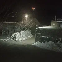 فروش1500علف و 180یونجه|لوازم جانبی حیوانات|صومای برادوست, |دیوار