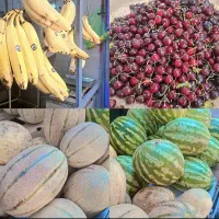 میوه|خوردنی و آشامیدنی|شیراز, بالا کفت|دیوار