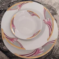 ظروف چینی مقصود
