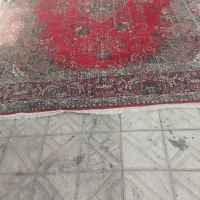 فرش|فرش|یزد, |دیوار