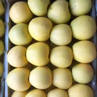 سرمایه‌گذاری با ۲۵درصد سود ظرف ۳ ماه|خدمات مالی، حسابداری، بیمه|مشهد, کوثر|دیوار