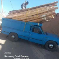 ‌ چوب درخت کنده ریشه  و حرص