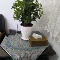 مبل|مبلمان خانگی و میز عسلی|رشت, توشیبا|دیوار