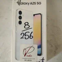 a 25