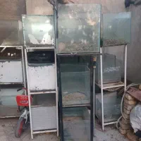 اکواریم  فروشی