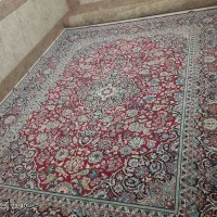 فرش و گلیم فرش|فرش|زابل, |دیوار