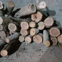 هیزم وچوب خشک برای آتش