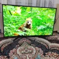 تلویزیون ال ای 55 اکسویژن هوشمند|تلویزیون و پروژکتور|شیروان (خراسان), |دیوار