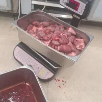 نیرو برای جگرکی