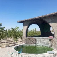 راننده پایه 2