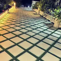 محصولات جهت محوطه  ویلا  خانه باغ  حیاط