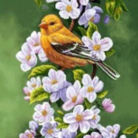 آموزش قالیبافی تضمینی در منزل شما|خدمات آموزشی|تهران, آهنگ|دیوار