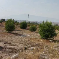 فروش باغ|فروش زمین و ملک کلنگی|بستک, |دیوار