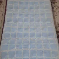 تشک بادی
