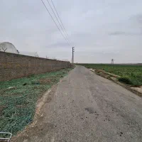 زمین-کشاورزی-سند-دارمناسب-گلخونه