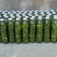 خیارشور خانگی