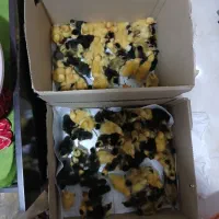 جوجه اردک محلی